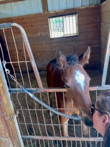 Lucy - filly, Dancin Lou - Full Moon