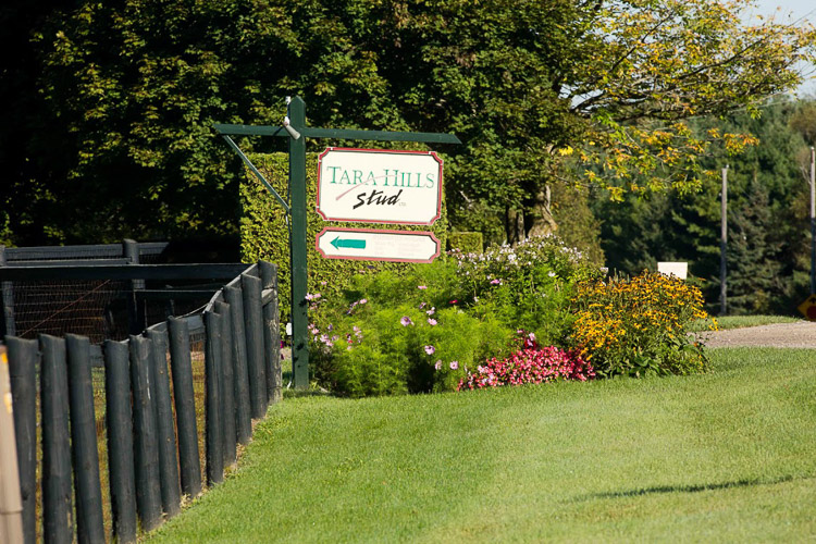 150923DLP_1977 Tara Hills Stud