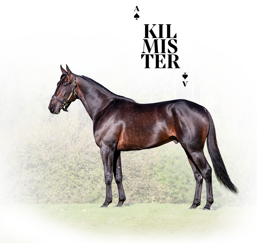 Kilmister-home-confo-mobile